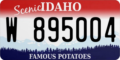 ID license plate W895004