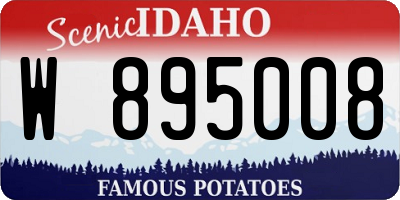 ID license plate W895008
