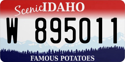 ID license plate W895011