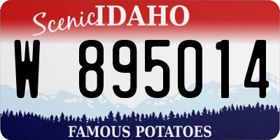 ID license plate W895014