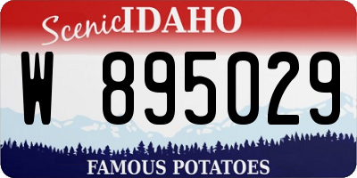 ID license plate W895029