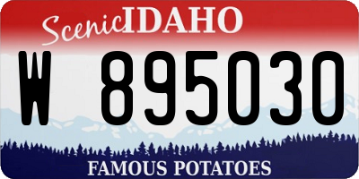ID license plate W895030