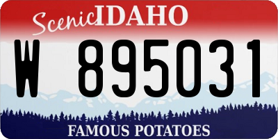 ID license plate W895031