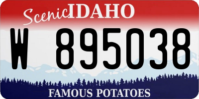 ID license plate W895038