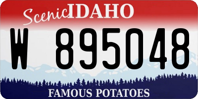 ID license plate W895048