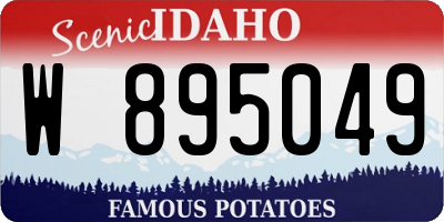 ID license plate W895049