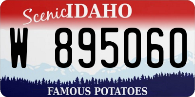ID license plate W895060