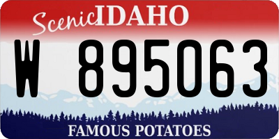 ID license plate W895063