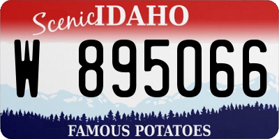 ID license plate W895066