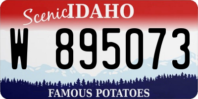 ID license plate W895073