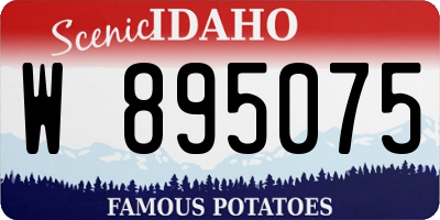 ID license plate W895075