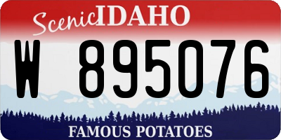ID license plate W895076