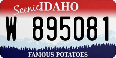 ID license plate W895081
