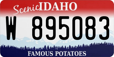 ID license plate W895083