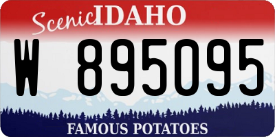 ID license plate W895095