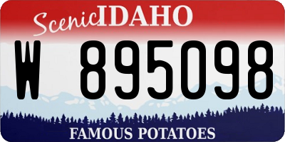 ID license plate W895098