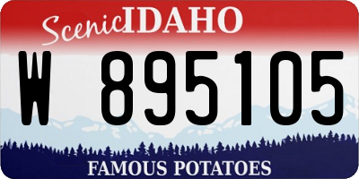 ID license plate W895105