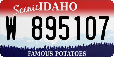 ID license plate W895107