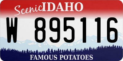 ID license plate W895116