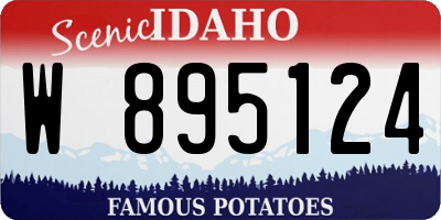ID license plate W895124