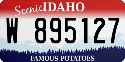 ID license plate W895127