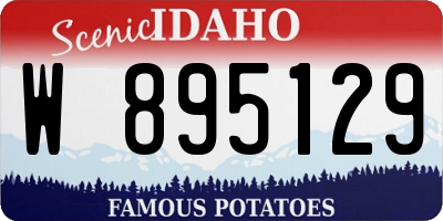 ID license plate W895129