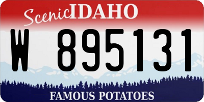 ID license plate W895131