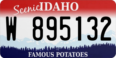 ID license plate W895132