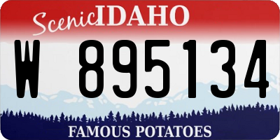ID license plate W895134