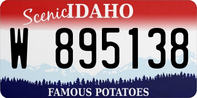 ID license plate W895138