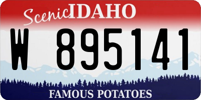 ID license plate W895141