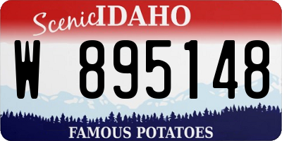 ID license plate W895148