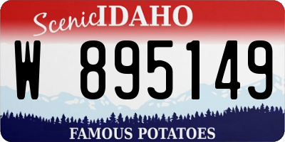 ID license plate W895149