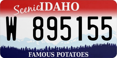 ID license plate W895155
