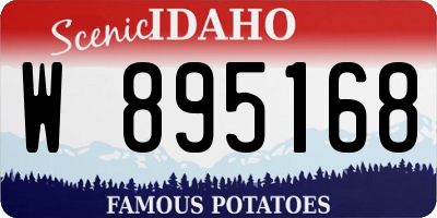 ID license plate W895168