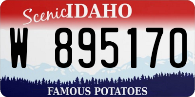 ID license plate W895170