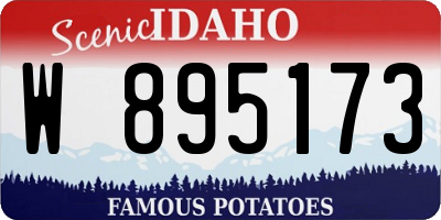 ID license plate W895173