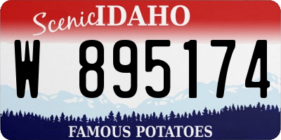 ID license plate W895174
