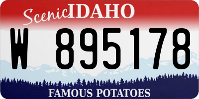ID license plate W895178