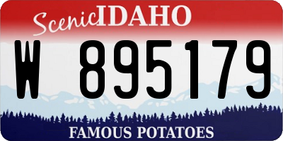 ID license plate W895179