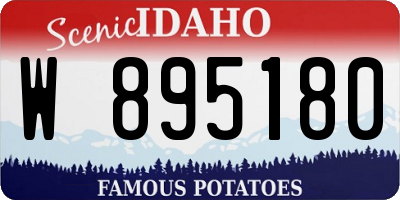 ID license plate W895180