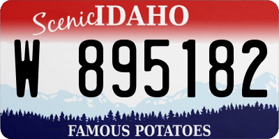 ID license plate W895182