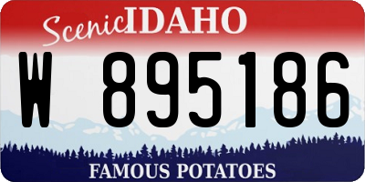 ID license plate W895186