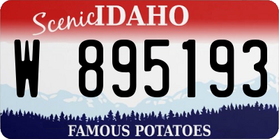 ID license plate W895193