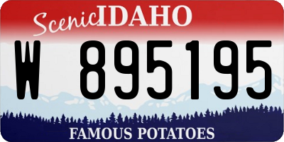 ID license plate W895195