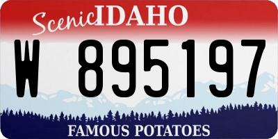 ID license plate W895197