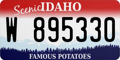 ID license plate W895330
