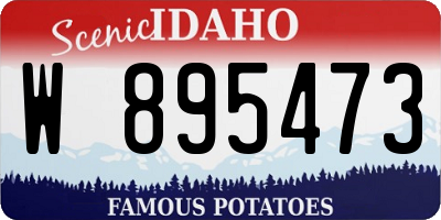 ID license plate W895473