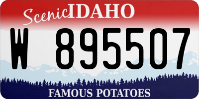 ID license plate W895507