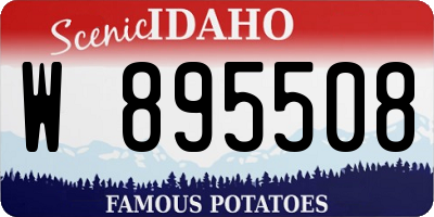 ID license plate W895508